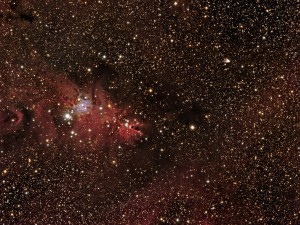 NGC2264 Christmas Tree Nebula